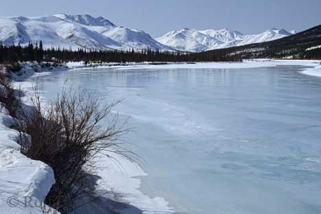 Winterszene Alaska Weihnachtsbild