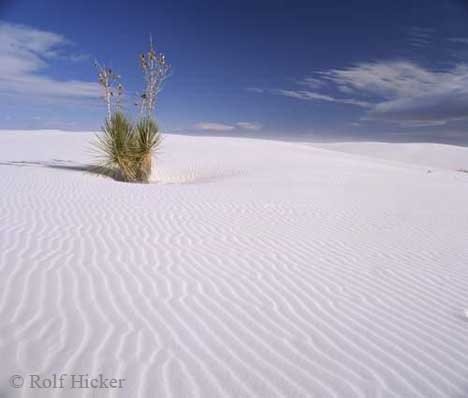 White Sands National Monument