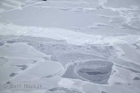 Luftaufnahme Schnee Eis St Lawrence