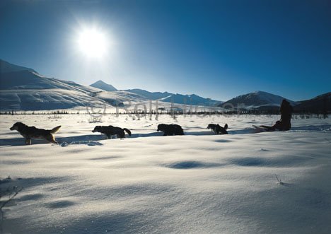 Wintersport Natur Alaska