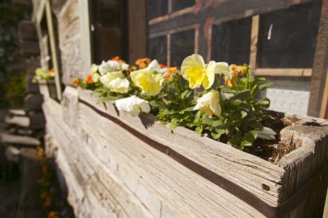 Blumenschmuck In Kleinburg