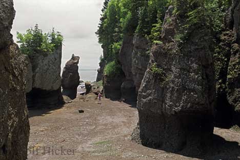 Hopewell Rocks Ebbe