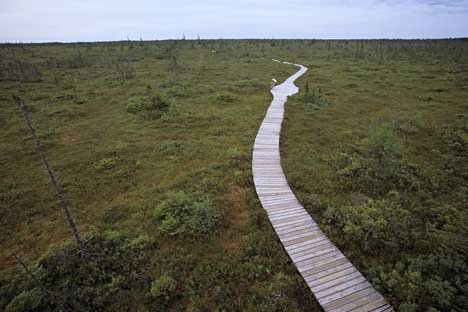 Kouchibouguac